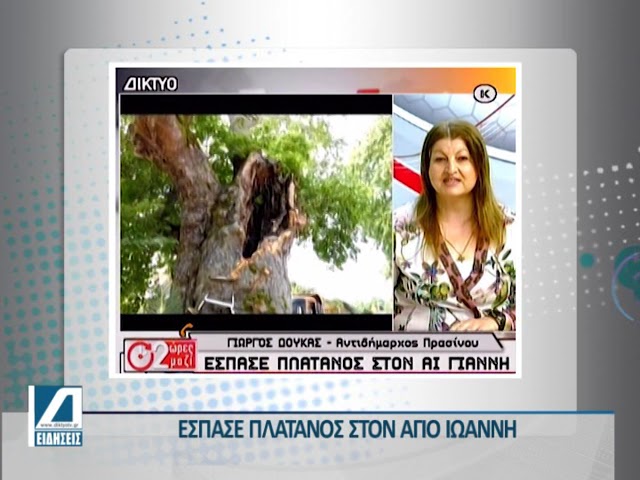 Έσπασε-πλάτανος-στον-Άγιο-Ιωάννη-Σερρών.-Από-θαύμα-δεν-υπήρχαν-θύματα