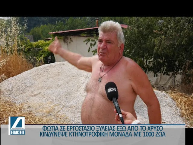 Φωτιά-σε-εργοστάσιο-ξυλείας-έξω-από-το-Χρυσό-Μεγάλη-επιχείρηση-κατάσβεσης-από-την-πυροσβεστική.