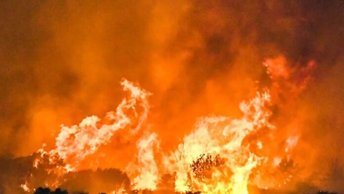 Φωτιά-στην-Πάτρα:-19χρονος-ομολόγησε-εμπρησμό-στα-Συχαινά-–-Τρεις-συλλήψεις-και-μια-προσαγωγή