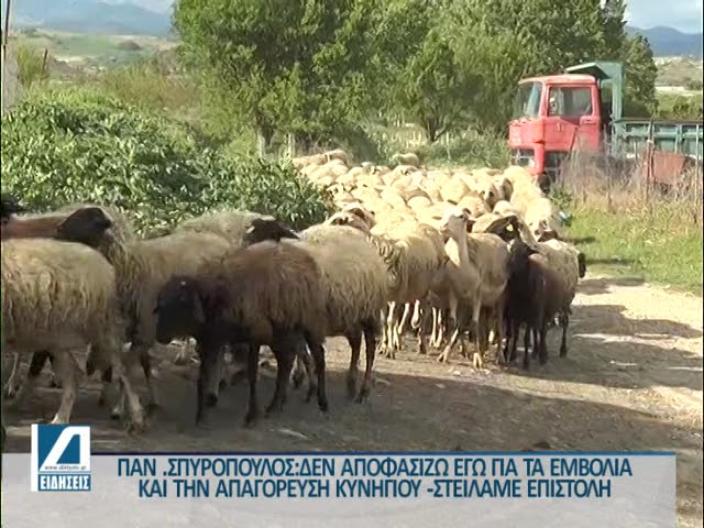 Δύο-νέες-εστίες-ευλογιάς-των-αιγοπροβάτων-σε-n-Ζίχνη-και-Ηράκλεια-–-Θα-θανατωθούν-550-ζώα.