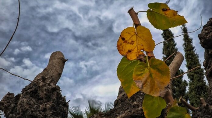Καιρός:-Φθινοπωρινό-σκηνικό-με-πτώση-της-θερμοκρασίας-και-ισχυρούς-ανέμους-–-Πού-θα-βρέξει