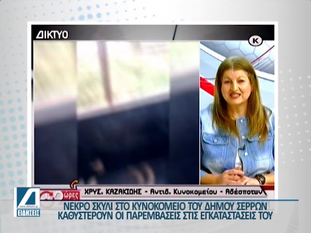 Νεκρός-για-ημέρες-σκύλος-στο-Κυνοκομείο-του-Δ.-Σερρών-–-“Δεν-το-πιστεύω”-λέει-ο-αρμόδιος-αντιδήμαρχος