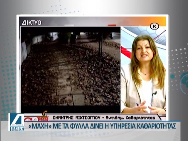 Δήμος-Σερρών:-“Μάχη”-με-τα-φύλλα-δίνει-η-Υπηρεσία-Καθαριότητας