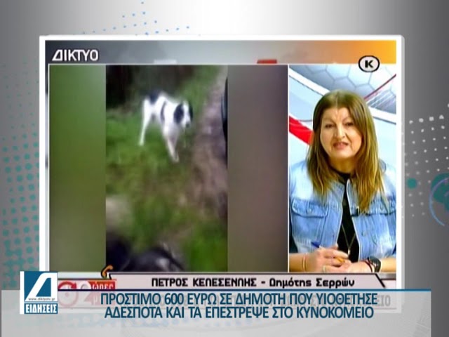 Πρόστιμο-600-ευρώ-σε-δημότη-που-επέστρεψε-στο-Κυνοκομείο-τα-αδέσποτα-που-υιοθέτησε!