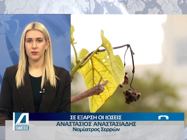 “Θερίζει”-η-γρίπη-στον-Νομό-Σερρών