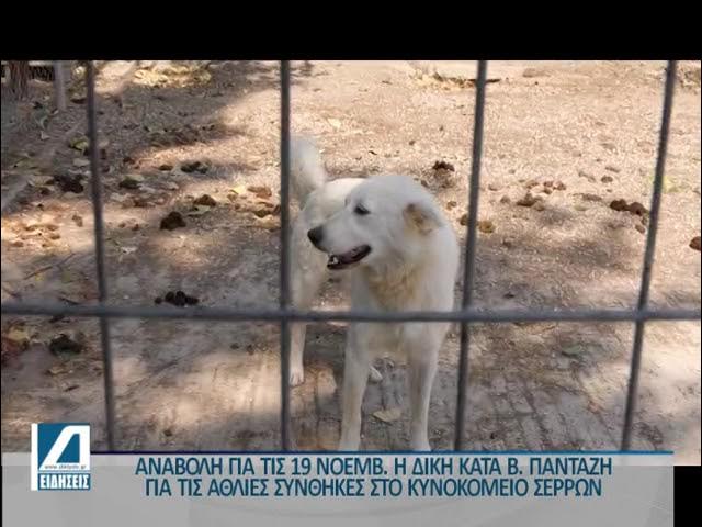 Αναβλήθηκε-η-δίκη-για-το-Κυνοκομείο-του-Δήμου-Σερρών