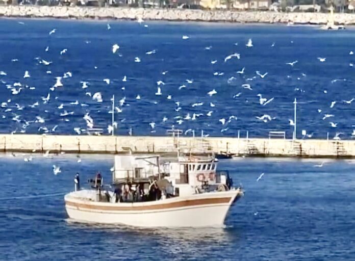 Αναστέλλουν-τις-κινητοποιήσεις-τους-οι-αλιείς-–-Τι-αναφέρουν-στην-ανακοίνωσή-τους